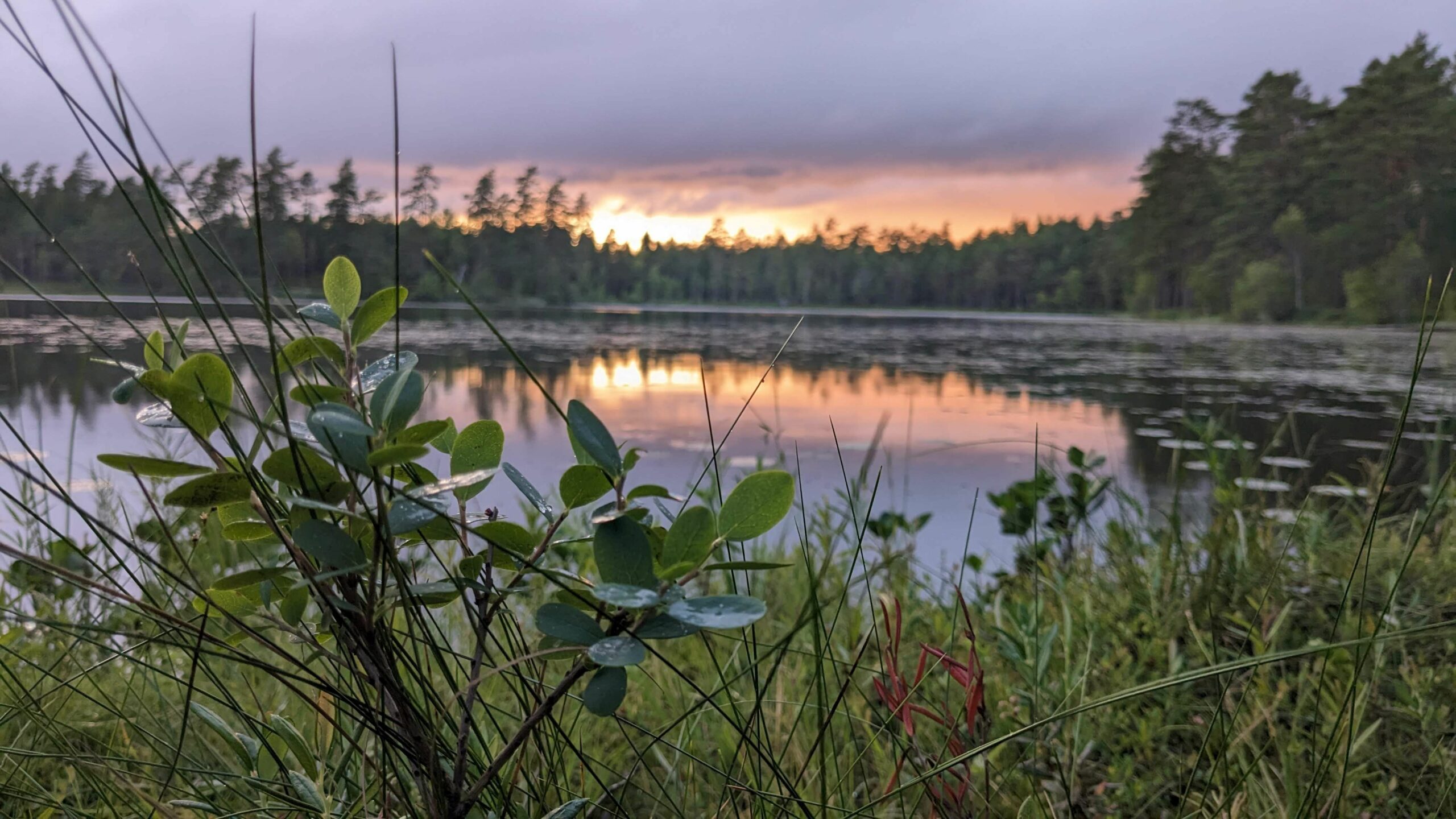 Schweden, der Rückweg